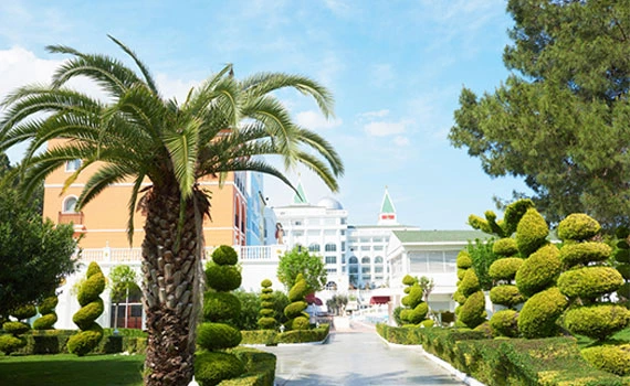 Marbella Medical Tourism