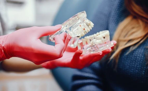 Pickup and Drop Service