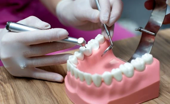 Food Service & Patient Care