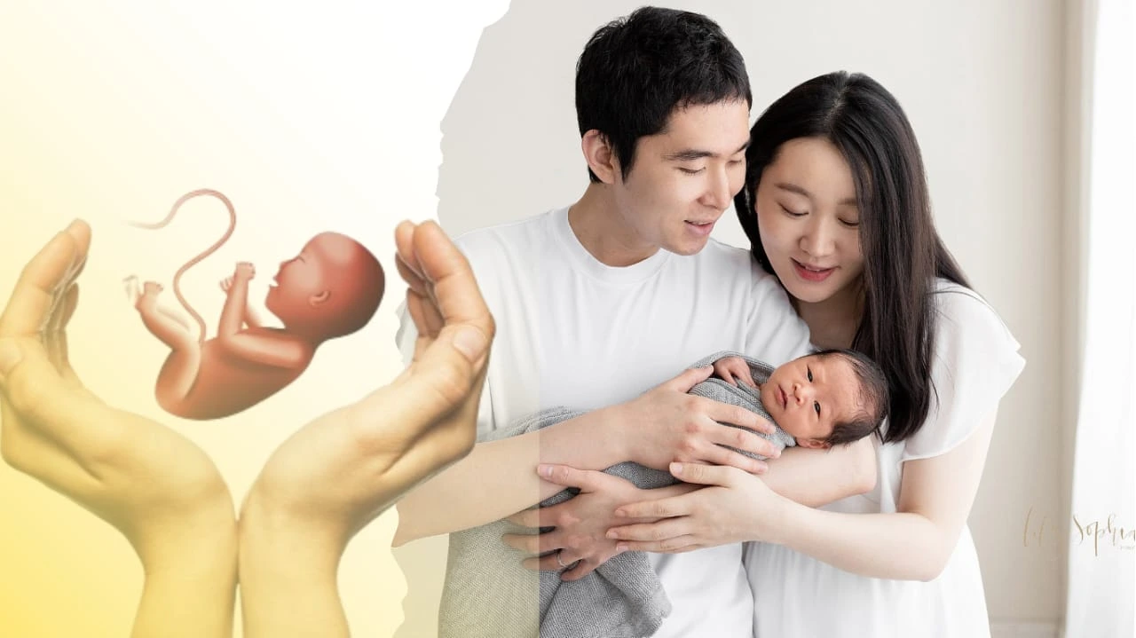 IVF Treatment in South Korea